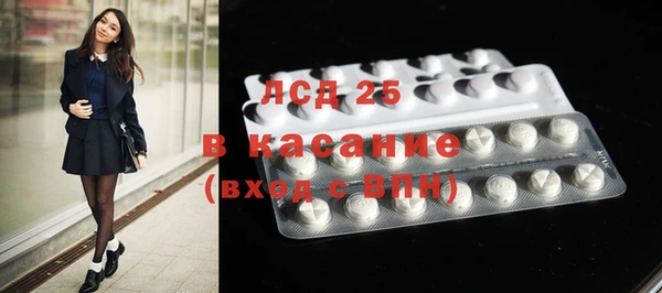 шишки Бородино