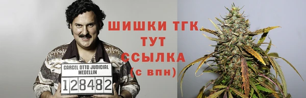 шишки Бородино