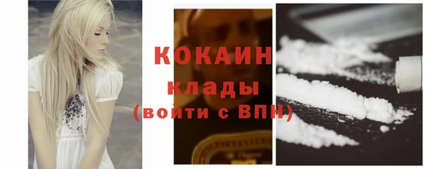 шишки Бородино