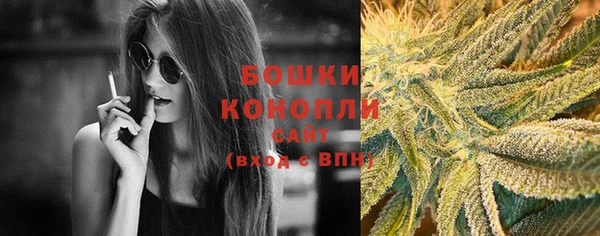 шишки Бородино
