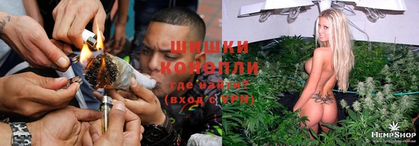 шишки Бородино