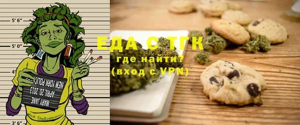 шишки Бородино