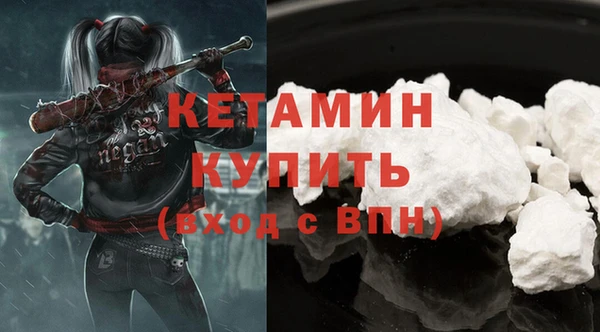 шишки Бородино