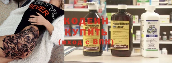 шишки Бородино