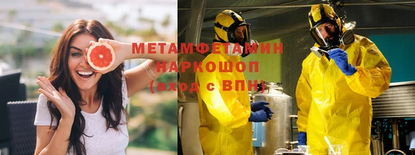 шишки Бородино