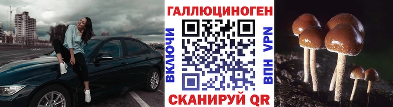 Галлюциногенные грибы Psilocybine cubensis  Барнаул 