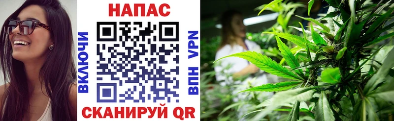 Конопля ГИДРОПОН  как найти закладки  мега ТОР  Барнаул 
